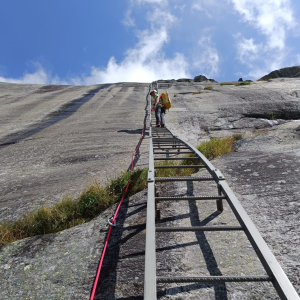 Aiguille du Moine Aiguille du Moine