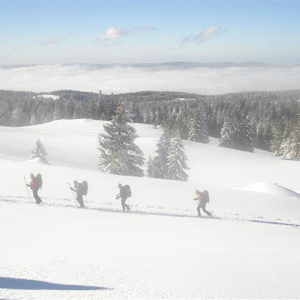 Ski de randonnée nordique Ski de randonnée nordique