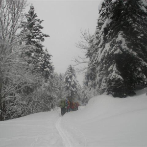 Ski de randonnée nordique Ski de randonnée nordique