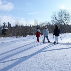 Ski de randonnée nordique Ski de randonnée nordique