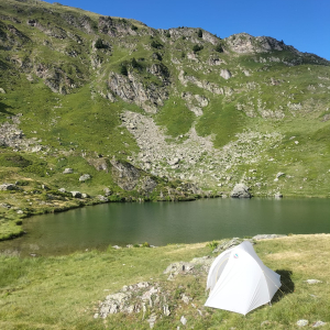 Environnement Environnement