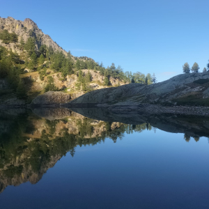 Environnement Environnement