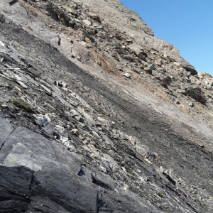 Tour du Mont Blanc Trail Tour du Mont Blanc Trail