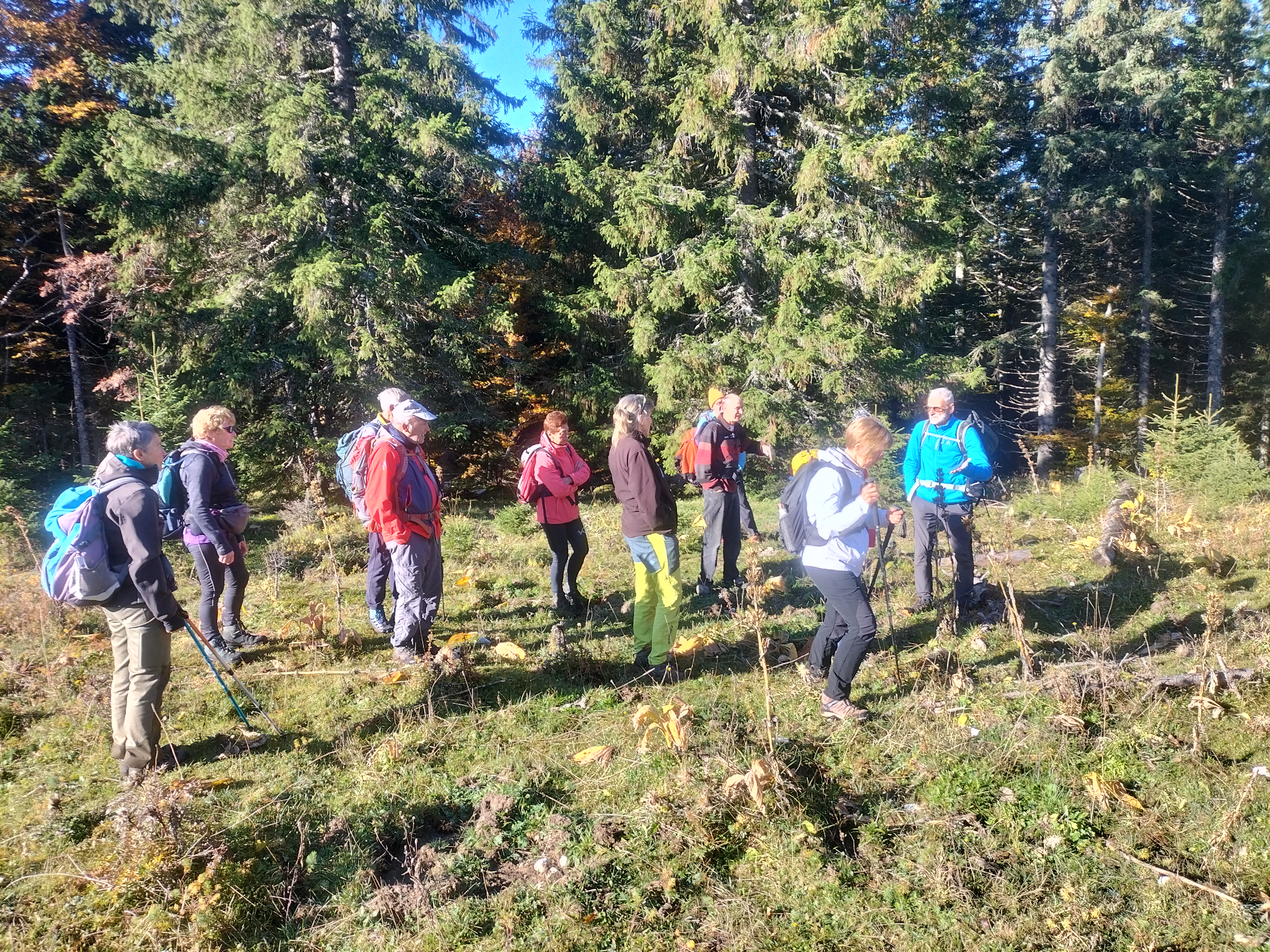 conférence et sortie terrain autour du Grand Tétras