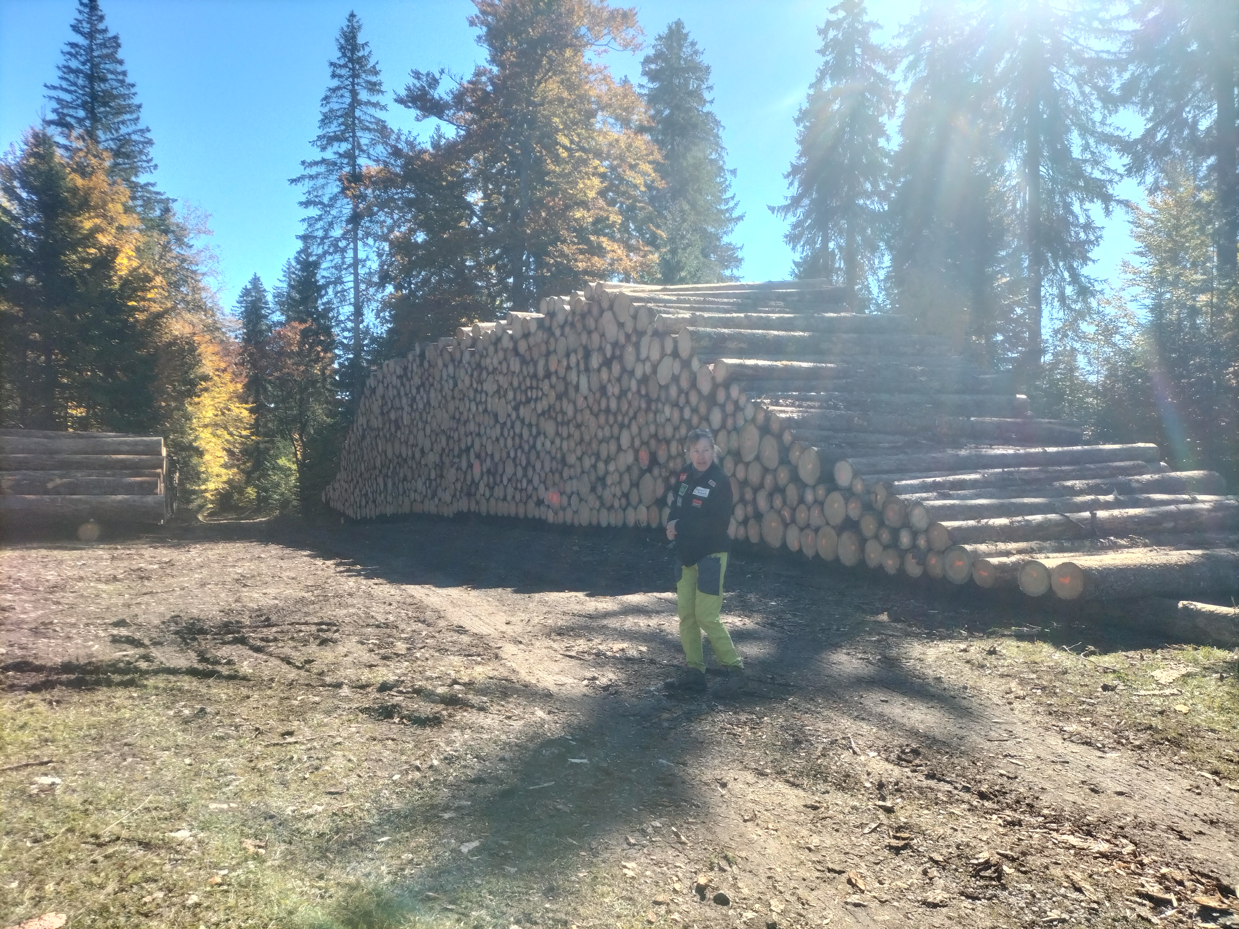 conférence et sortie terrain autour du Grand Tétras