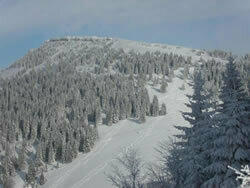hiverchasseron